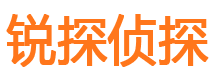 惠民侦探